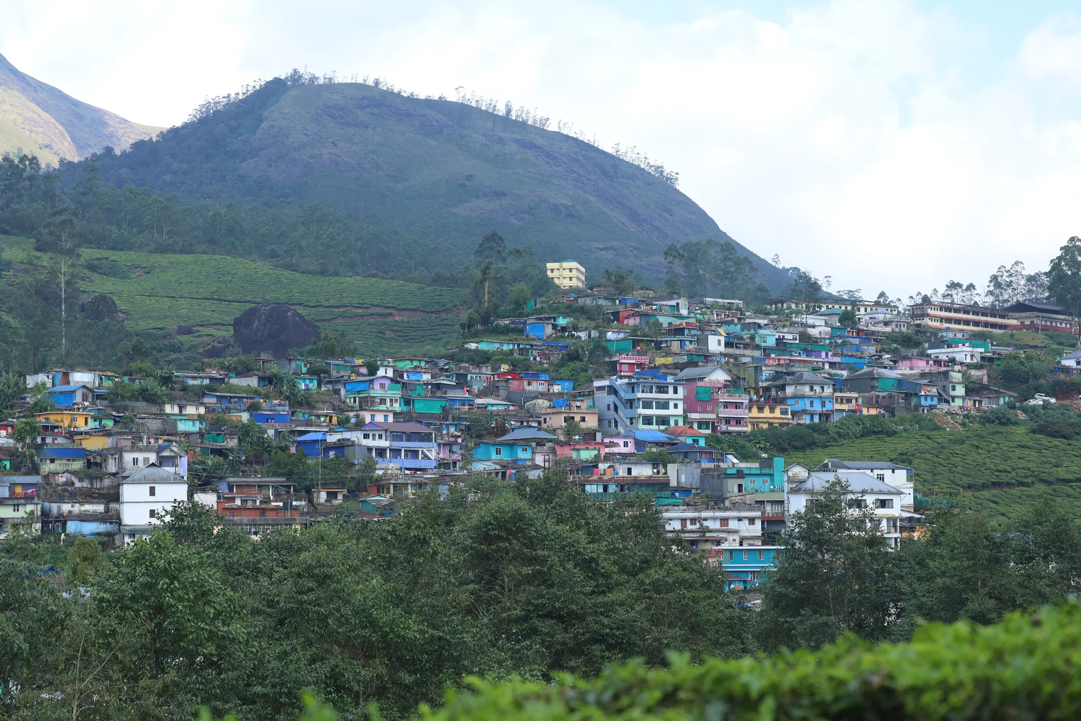 Colorful hillside homes among green tea plantations and mountains in Munnar, Kerala.