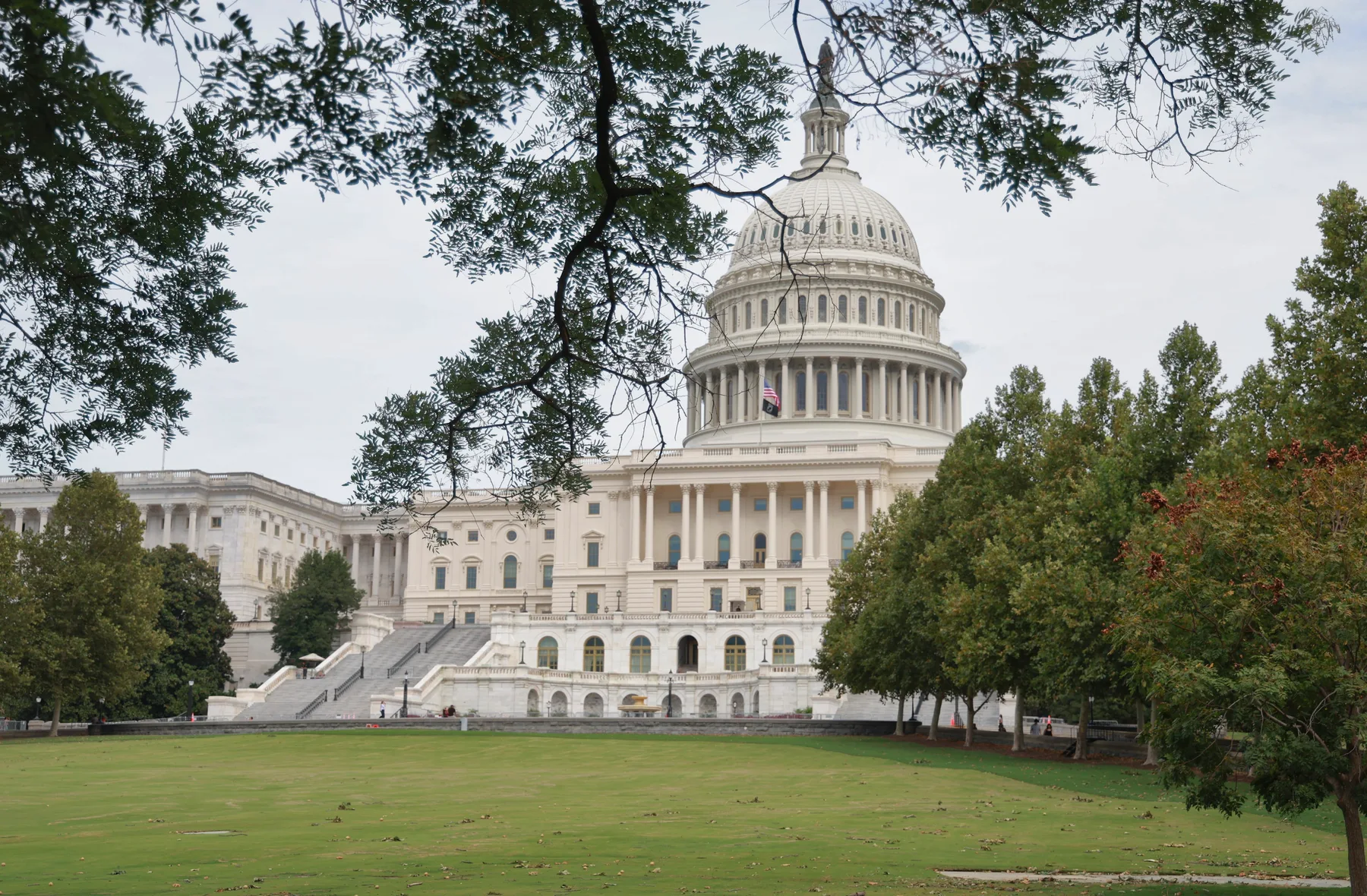 The U.S. Capitol framed by trees and a green lawn.