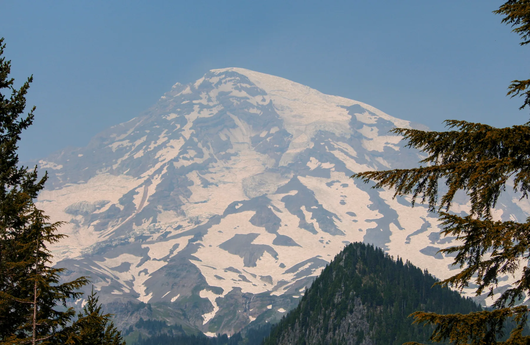 Snow-covered Mt Rainier framed by evergreen trees.